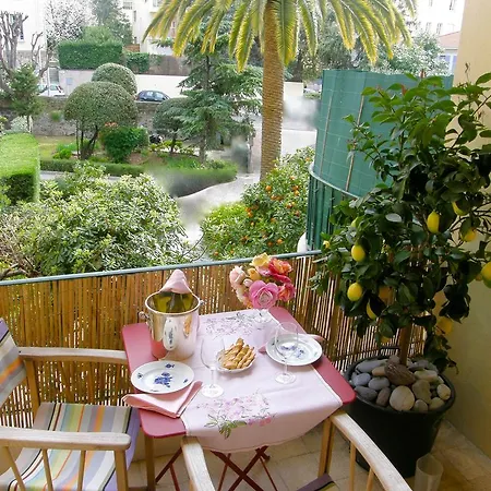 Les Palmiers * Nice